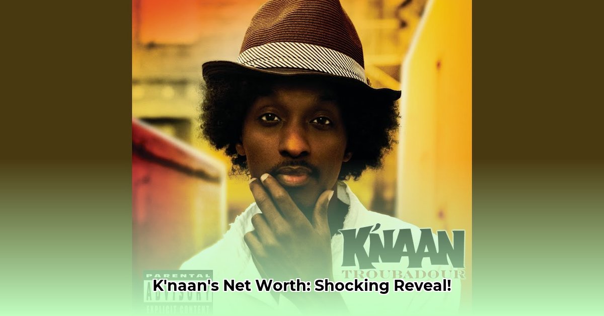 k-naan-net-worth